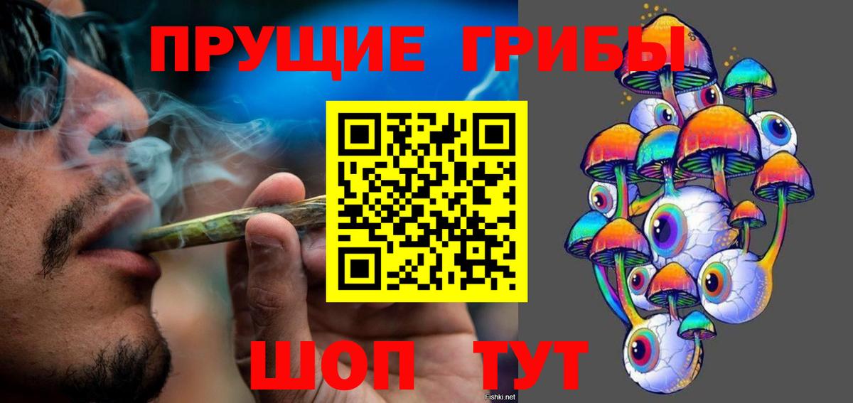 Галлюциногенные грибы Cubensis  Вход с VPN  Дедовск 